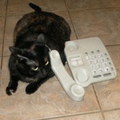 Is your Outsource Tech Support Fair Trade?