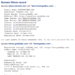 hostsguides.com - Domain Dossier - owner and registrar information, whois and DNS records